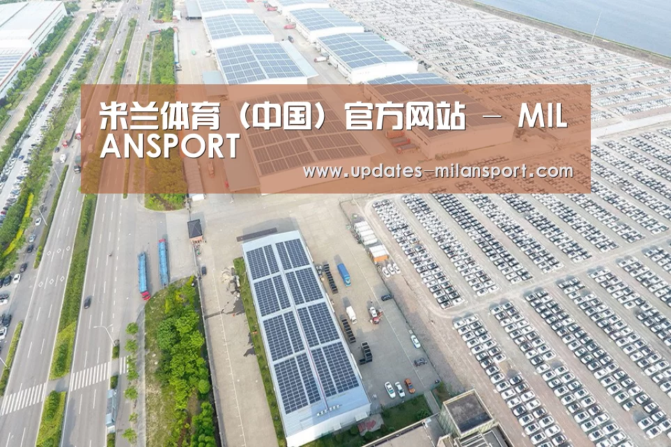 案例展示一