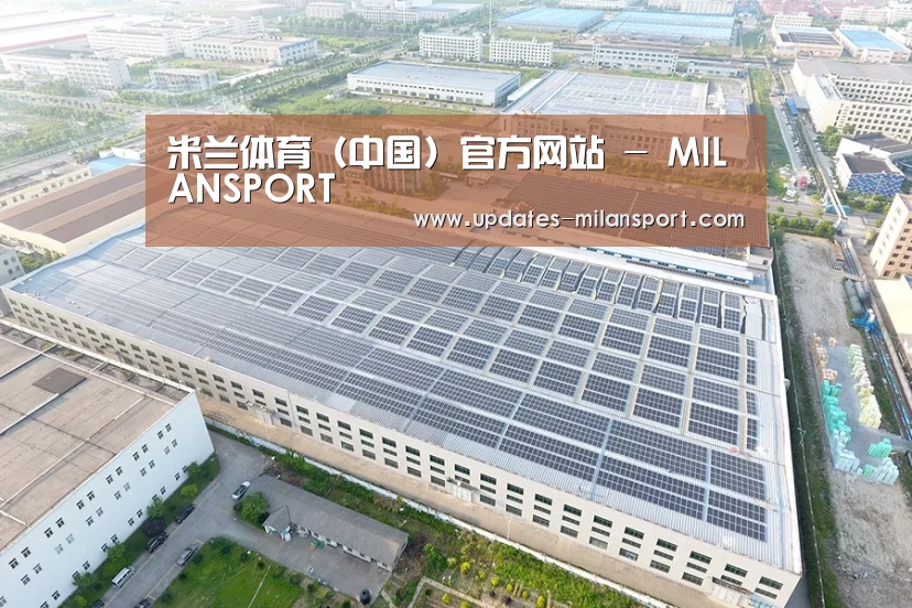 案例展示四
