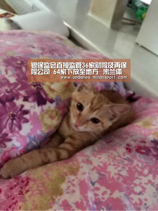 米兰体育全站