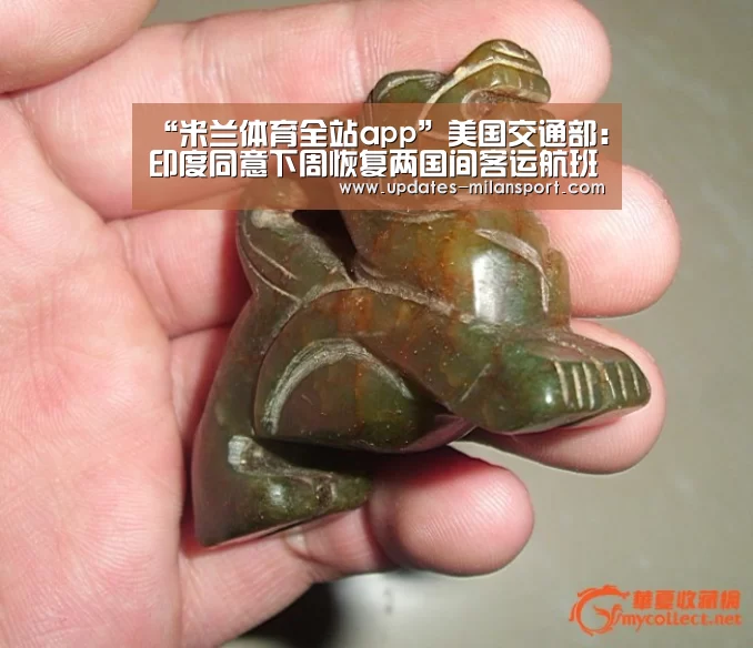 “米兰体育全站app”美国交通部:印度同意下周恢复两国间客运航班(图3) 米兰体育app下载安装